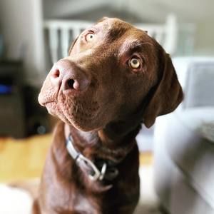 Meet your Posher, Scott